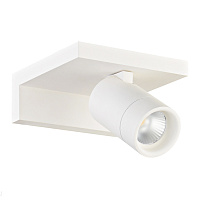 Настенный светодиодный светильник Donolux DL18441/01 White R Dim