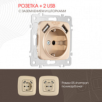 Розетка с заземлением, шторками + 2 USB, 16A 250V, USB DC 5V 2.1A 205.47-1.shampan Arte Milano