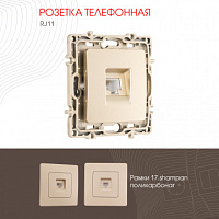 Розетка телефонная, RJ11 217.51-1.shampan Arte Milano