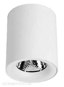 Накладной точечный светильник Arte Lamp FACILE A5112PL-1WH