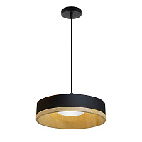 Светодиодный подвесной светильник Divinare VASO 5119/06 SP-8