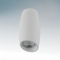 Накладной светильник Lightstar Ballo 214466