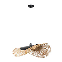Подвесной светильник Arte Lamp WOODSTOCK A7063SP-1BK