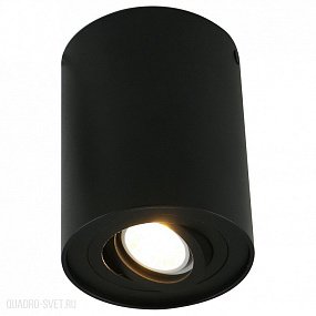 Накладной светильник Arte Lamp A5644PL-1BK
