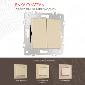 Выключатель двухклавишный проходной (на 2 направления), 10AX 250V 203.32-2.shampan Arte Milano