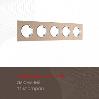 Рамка из алюминия на 5 постов 502.11-5.shampan Arte Milano