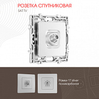 Розетка спутниковая, SAT TV 217.42-1.silver Arte Milano