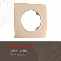 Рамка из поликарбоната на 1 пост 502.04-1.shampan Arte Milano