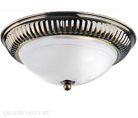 Потолочный светильник Arte Lamp ALTA A3016PL-2AB