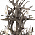 Люстра подвесная ST Luce Corna SL154.703.12
