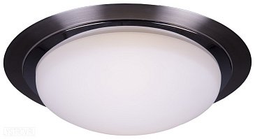 Настенно-потолочный светильник VELANTE 344-202-02
