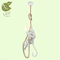 Подвесной светильник Lussole Loft HICKSVILLE GRLSP-9993