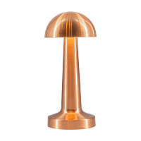 Светодиодная настольная лампа L'Arte Luce Cooee L42633.93