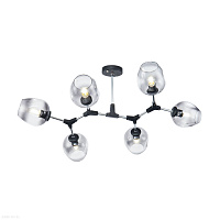 Потолочная люстра Freya Desi FR5006CL-06B