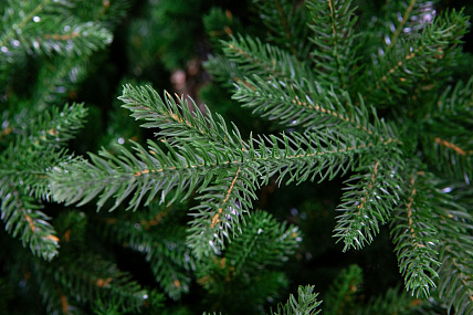 Ель CRYSTAL TREES ПЕРСЕЯ 60 см. KP1160