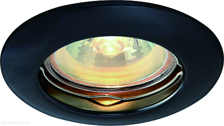 Встраиваемый точечный светильник Arte Lamp PRAKTISCH A1203PL-1BK
