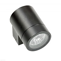 Настенный уличный светильник Lightstar Paro 350607