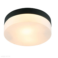Потолочный светильник для ванной комнаты Arte Lamp AQUA-TABLET A6047PL-2BK