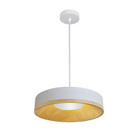 Светодиодный подвесной светильник Divinare VASO 5119/33 SP-12