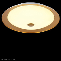 Потолочный светодиодный светильник Maytoni Euler CL815-PT50-G