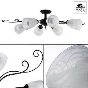 Люстра потолочная Arte Lamp SELECTION A7310PL-6BR