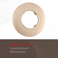 Рамка из поликарбоната на 1 пост 502.08-1.shampan Arte Milano