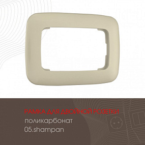 Рамка из поликарбоната для двойной розетки 505.05-double.shampan Arte Milano