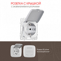 Розетка с заземлением, шторками и защитной крышкой, 16A 250V 205.41-1.silver Arte Milano