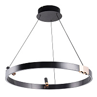 Светодиодный подвесной светильник Arte Lamp CESARE A1993SP-30BK