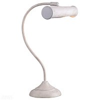 Настольная лампа Arte Lamp PICTURE LIGHTS BASIC A5023LT-1WG