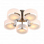 Потолочная люстра ST Luce FORESTA SL483.352.05