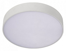 Потолочный светодиодный светильник Aployt Evon APL.0114.09.24