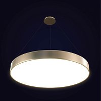 Светодиодный подвесной светильник Лючера Таблетка Серебро TLTA1-100-01-gr