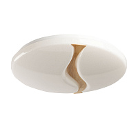 Потолочный светильник De City Ривз 674017801