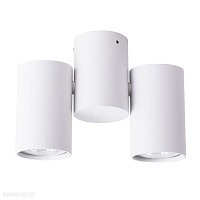 Потолочный светильник Arte Lamp GAVROCHE A1511PL-2WH