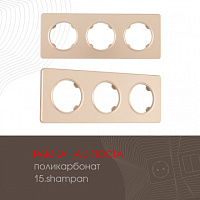 Рамка из поликарбоната на 3 поста 502.15-3.shampan Arte Milano