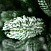 Ель CRYSTAL TREES МОНССЕРАТ в снегу 210 см. KP62210