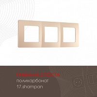 Рамка из поликарбоната на 3 поста 517.17-3.shampan Arte Milano