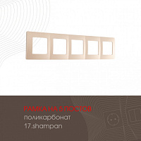 Рамка из поликарбоната на 5 постов 517.17-5.shampan Arte Milano