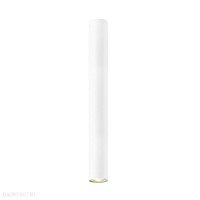 Накладной светильник Zumaline LOYA C0461-01D-A0S8