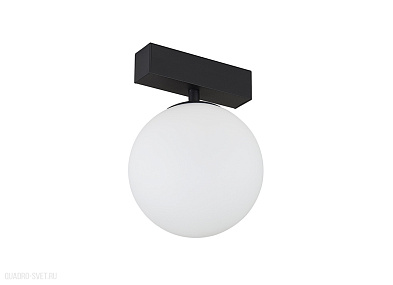Трековый светодиодный светильник для магнитного шинопровода Donolux Bubble DL18794/01M Black