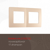 Рамка из поликарбоната на 2 поста 517.17-2.shampan Arte Milano