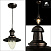 Подвесной светильник Arte Lamp FISHERMAN A5518SP-1RI
