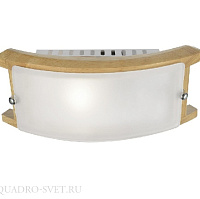 Потолочный светильник Arte Lamp ARCHIMEDE A6460AP-1BR