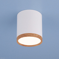 Накладной потолочный  светодиодный светильник Elektrostandard DLR024 6W 4200K белый матовый/светлый 