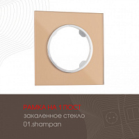 Рамка из закаленного стекла на 1 пост 502.01-1.shampan Arte Milano