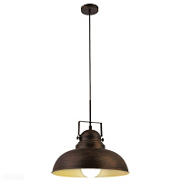 Подвесной светильник Arte Lamp MARTIN A5213SP-1BR