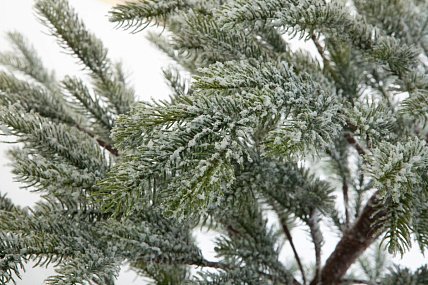 Ель CRYSTAL TREES БОЛЬЕРИ в снегу 150 см. KP18150