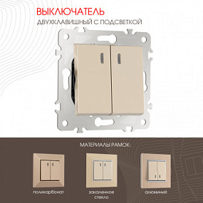 Выключатель двухклавишный с подсветкой, 10AX 250V 203.31-2.shampan Arte Milano