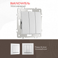 Выключатель трёхклавишный, 10AX 250V 206.30-3.silver Arte Milano